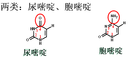 一,嘧啶类抗代谢物(记住各类的结构特点和代表药)嘧啶类(单环),嘌呤类