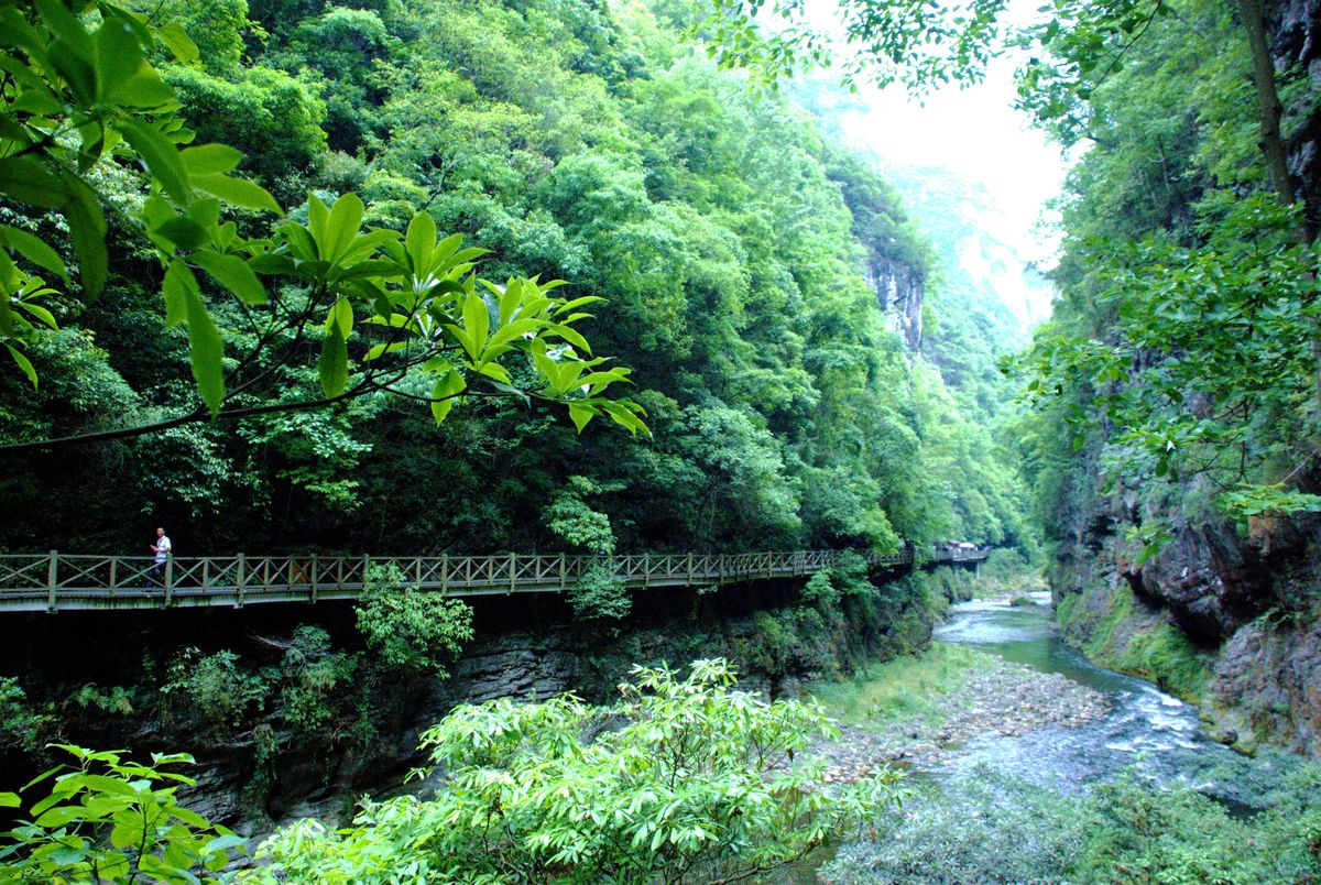 临海黄土岭大峡谷图片