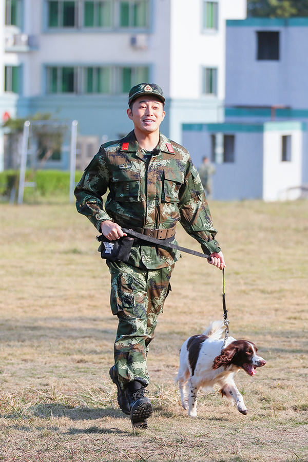 奇兵神犬沙溢阿贝图片