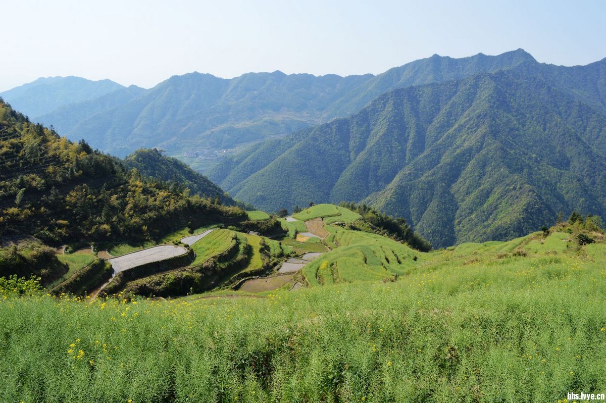 寻找失落的乡村休宁白际店村