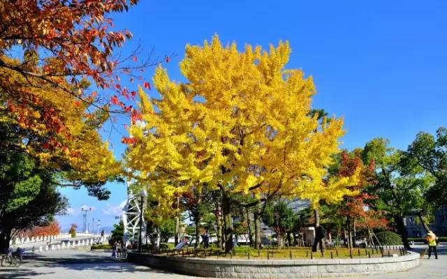 走破日本|2018年2月25日广岛吴市马拉松|你不敢相信这是曾经被原子弹