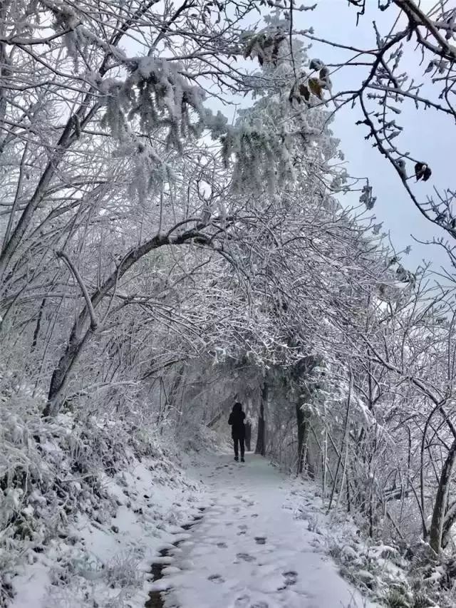 湖南永州下雪图片