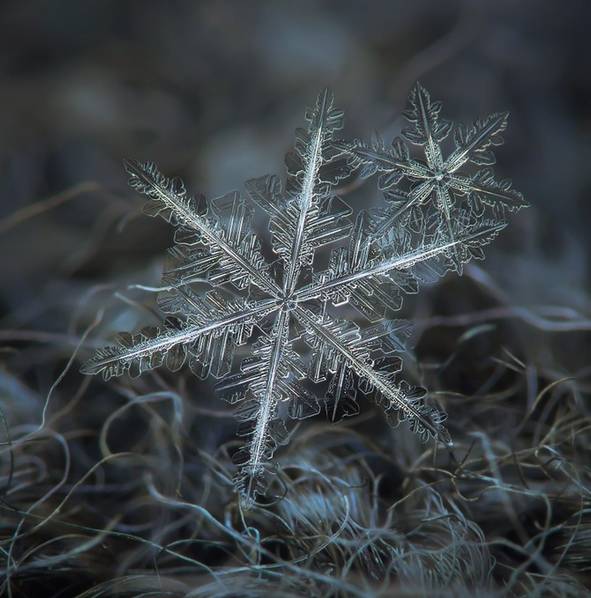 看了这么多年雪,你真的知道雪长什么样子吗?