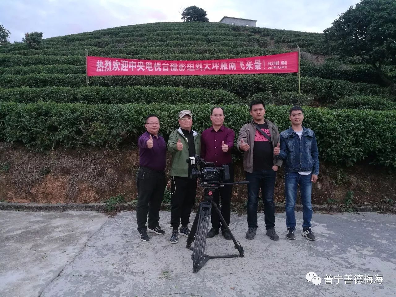 大坪农场凉亭村山高林密,土地肥沃,雨量充沛,气候温和,发展茶叶种植