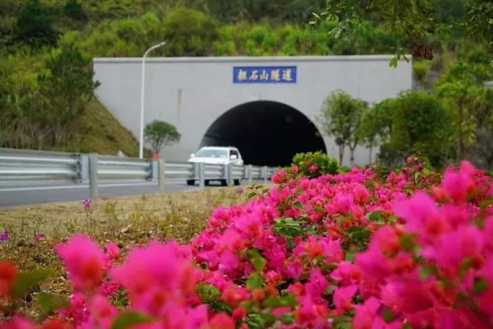 即将通车的隧道与环境相得益彰粗石山隧道进口龙怀高速连平至龙川段全