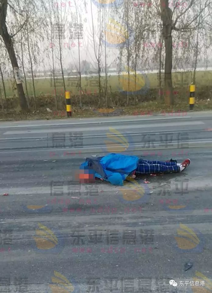 东平车祸图片