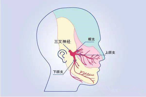 被冤枉的