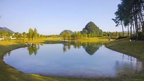 洪梅汇景酒店海鲜自助晚餐畅游全国十大最美茶园积庆里茶园纯玩三天团