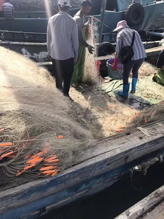 靠出海捕魚為生的漁民一生都在與海相依為命