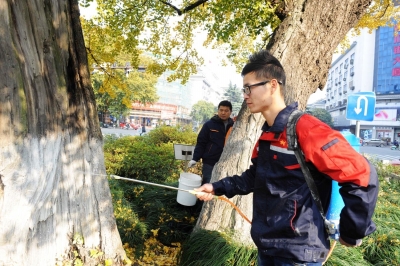 古樹塗白 程曦 攝