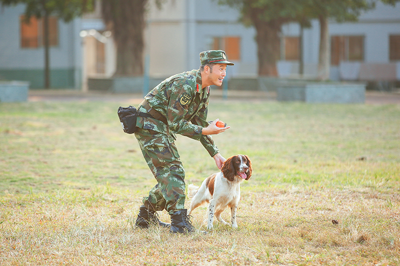 奇兵神犬沙溢阿贝图片