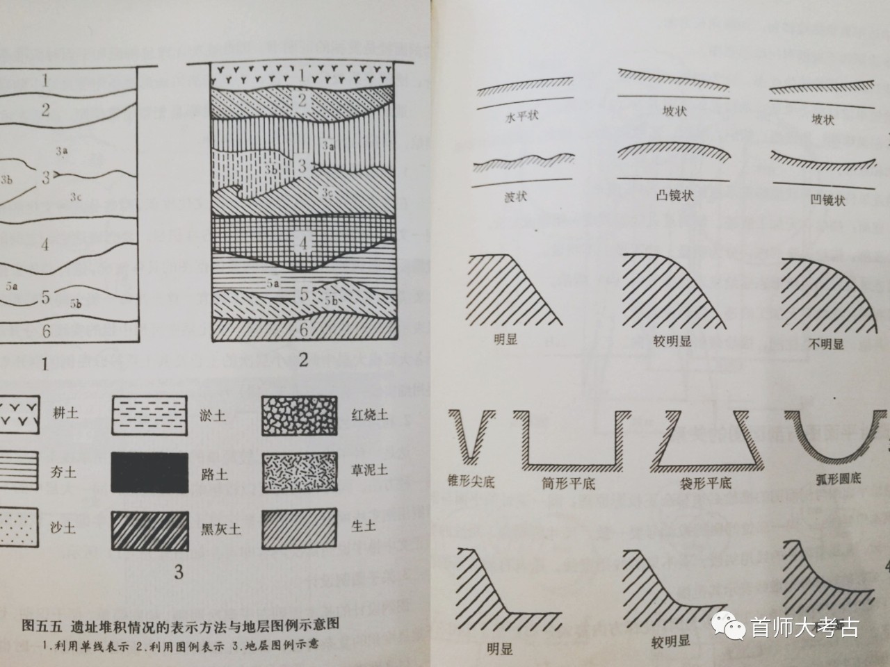 考古土层分析图图片