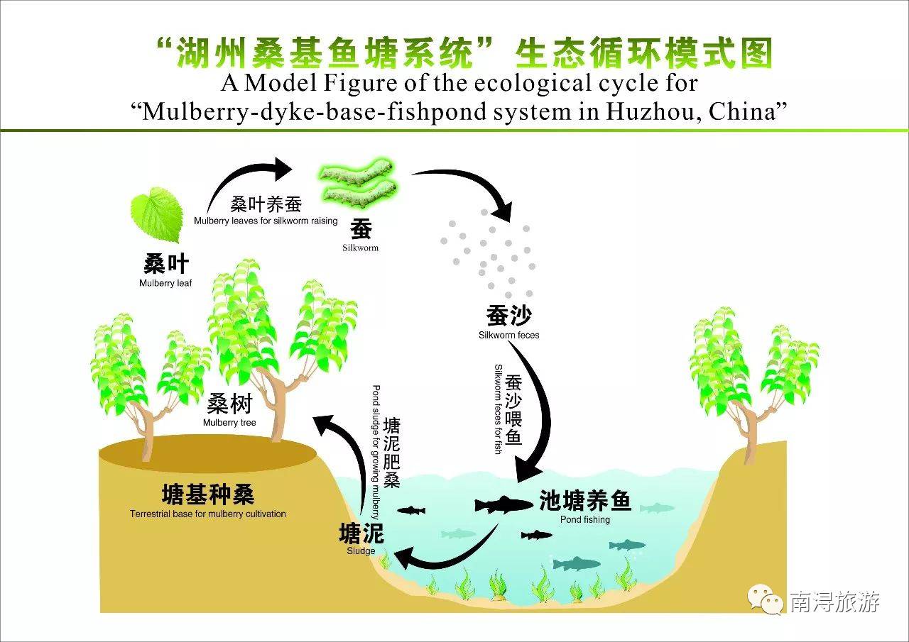 重磅南浔桑基鱼塘系统入选全球重要农业文化遗产