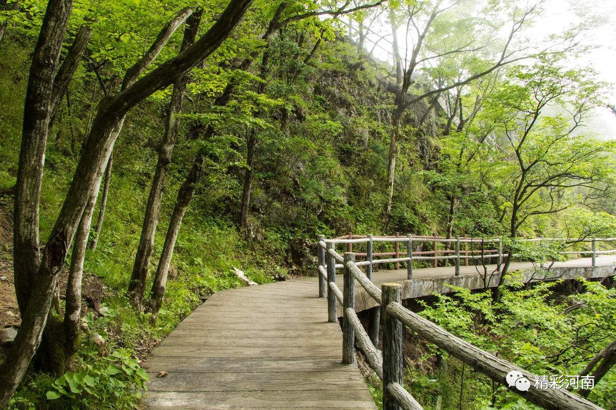 大别山国家森林步道图片