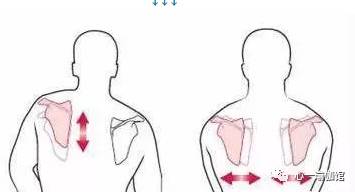 心一瑜伽练瑜伽如何稳定肩膀肩胛骨的内收外展你一定要知道