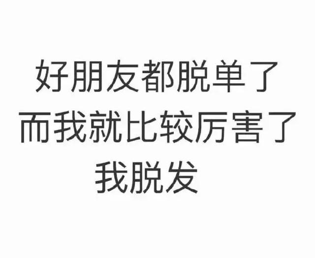 別人脫單我脫髮,留學生不哭我們還可以再學幾年