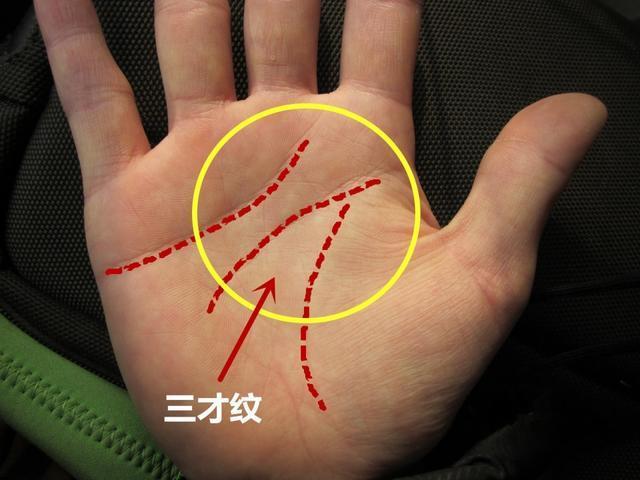 1:在我们的手相学基础上,常有三大纹路的说话,即天纹感情线,人纹智慧