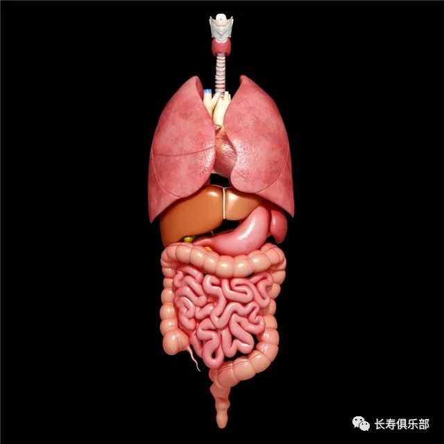 沒嚇你一次生氣傷全身器官還會氣出這14種病看完再也不敢生氣了