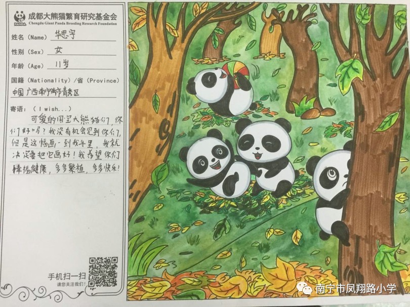 大家一致想到为大熊猫捐款,在随后的宣传中,年级上好几个