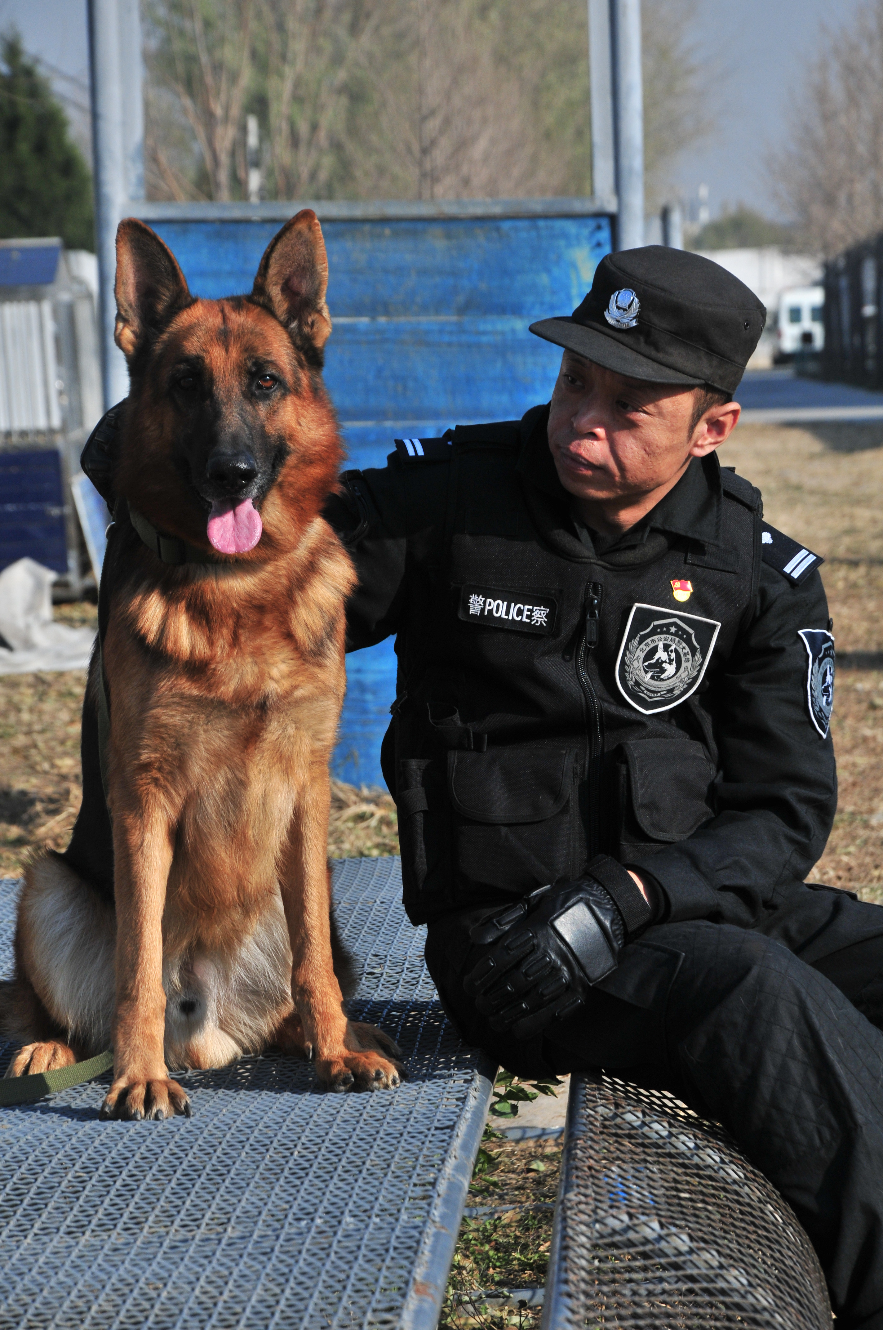 携犬共舞公交总队警犬工作大队二中队中队长刘潇潇