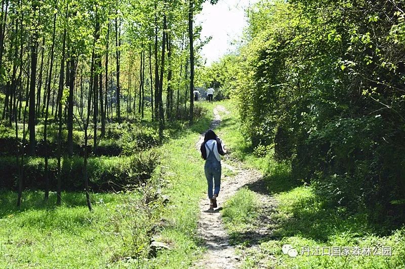 然後上山朝聖自東向西到達玄嶽門或浩浩蕩蕩,或三五成群香客們渡江在