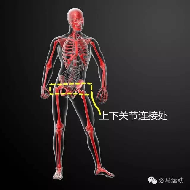 胯在身体哪个位置图图片