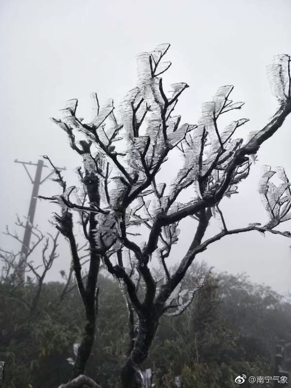 南宁都结冰了!大明山出现冻雨,大家期盼的回暖大概在