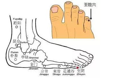 至阴的准确位置与功效图片