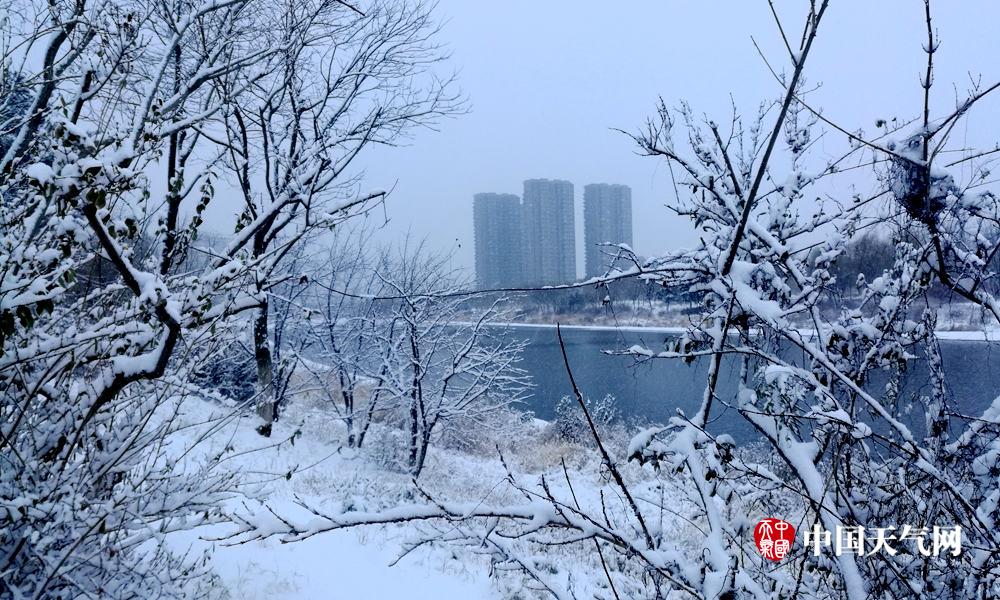 2007年鞍山大雪图片图片