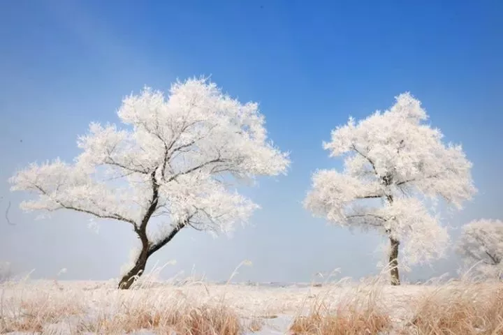 逢时而来,随时而走,来去无踪,变化莫测,颇有神奇色彩.