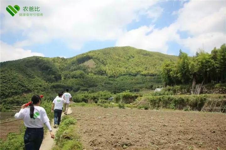 千岛湖等崇山峻岭之间,广泛发掘当地原生态优质食材,根据当地的环境