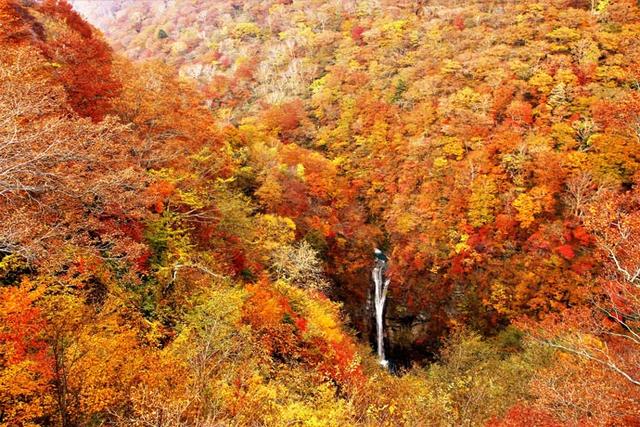 你在寒冷的沈阳瑟瑟发抖 他们却在泡温泉 赏红叶 看雪山