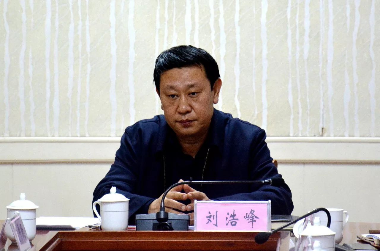 刘浩峰任武安市委书记图片