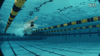 【技能提高】长距离自由泳的五大练习理念和训练方法