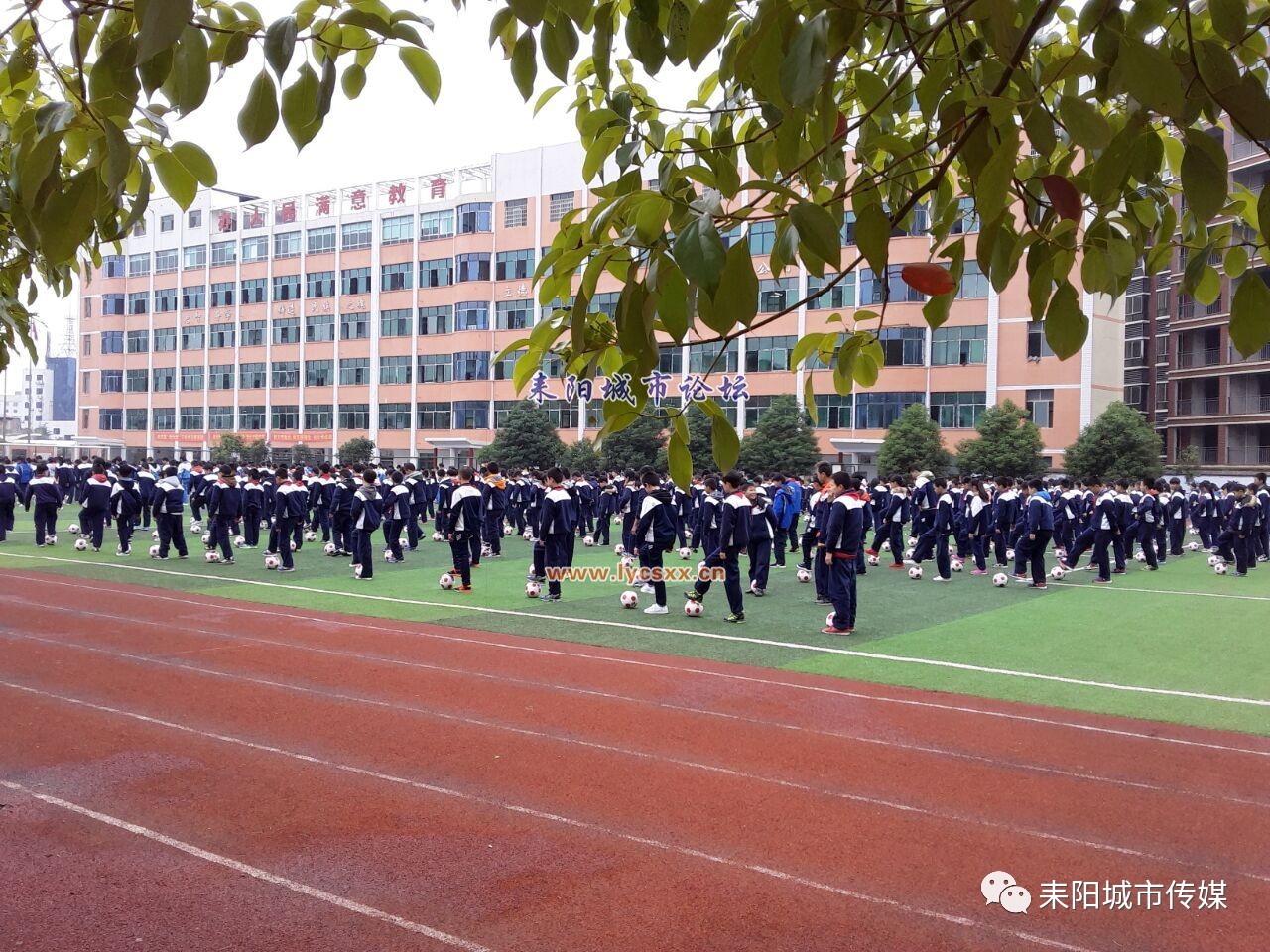 慈晖学校近年推行"尊重差异,体艺特色"的办学理念,去年高考11人上本科