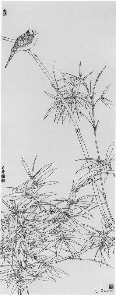 主要是依据它的植物分别标准区分,大多可供庭院观赏,著名品种有凤尾竹