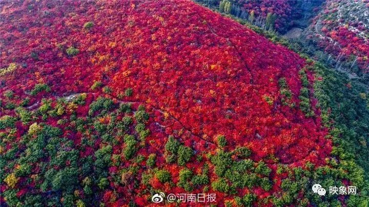 大鴻寨,又名臥佛山 國家4a級景區, 國家級森林公園 地處鄭州的登封