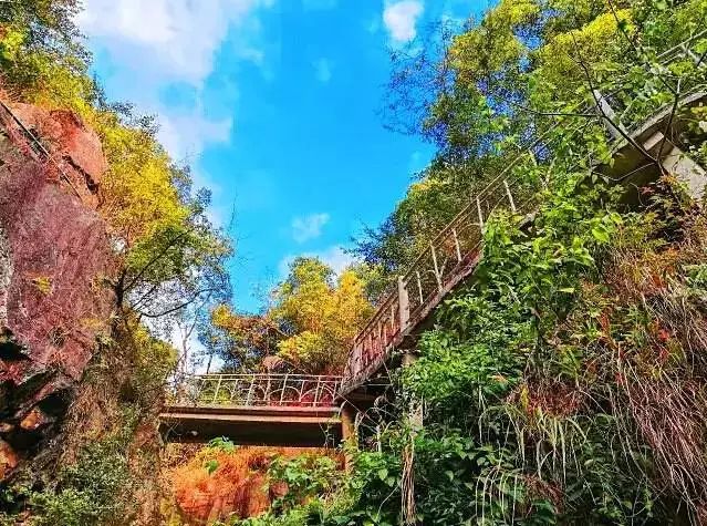 平安山-名字就很應景 這裡有珠三角地區最大的瀑林大峽谷 ——平安山