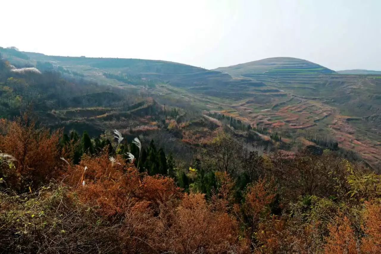 凤翔最高峰神奇老爷岭