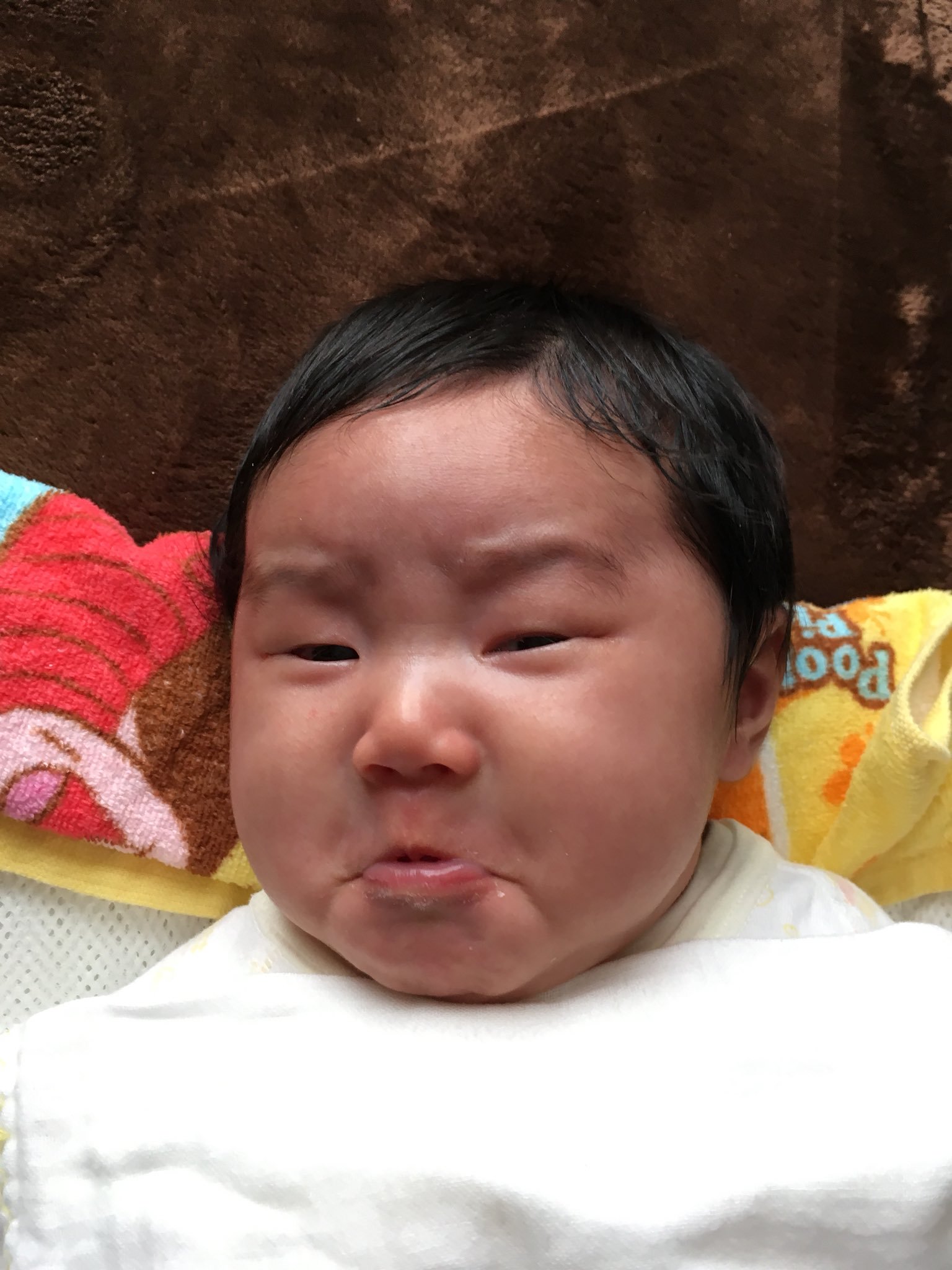 越丑越好!日本举办失败婴儿摄影大赛笑翻网友