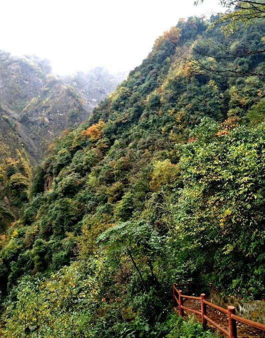 走,洗肺切!成都周边人少景美空气好的8大登山胜地,约吗?