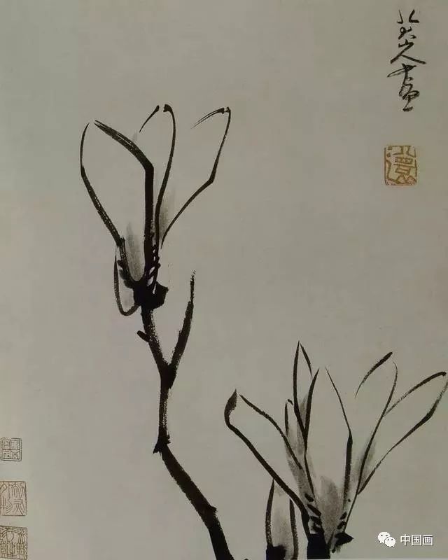 一代宗师丨八大山人的书画