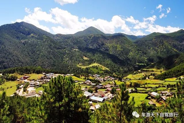 這裡四面環山,原始森林遮天蔽日,夏時青山鬱郁,樹木枝繁葉茂,秋時白樺