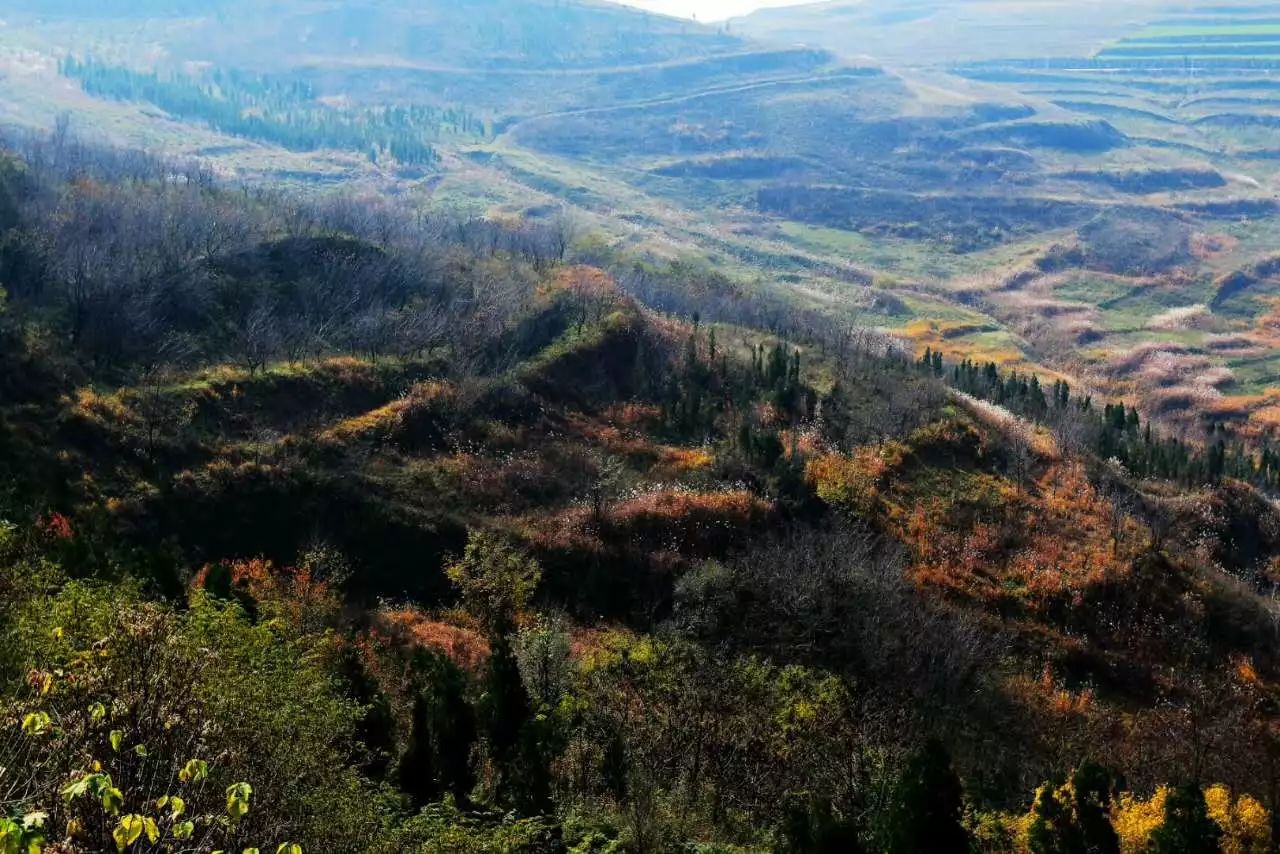 凤翔最高峰神奇老爷岭