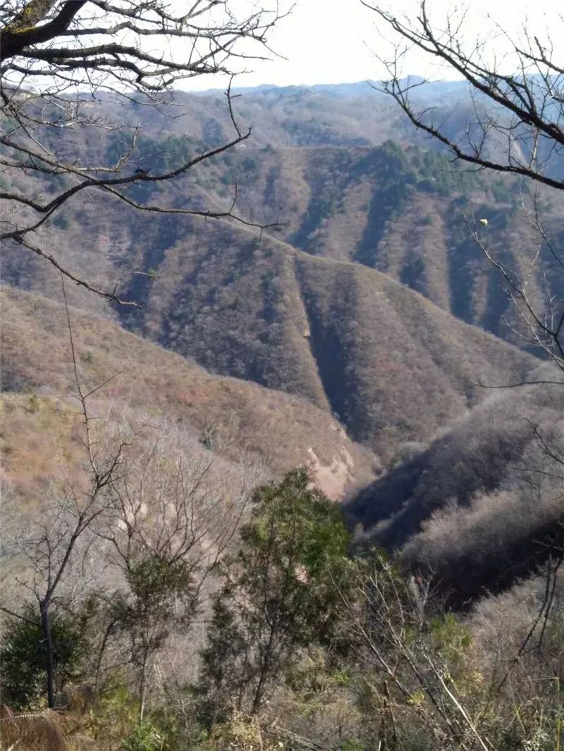 凤翔最高峰神奇老爷岭