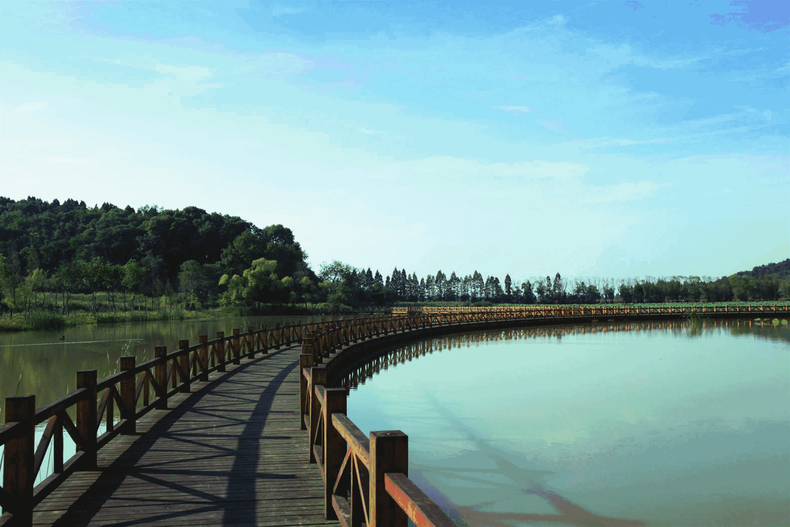 严西湖与湿地公园是花山空气湿度较高的第二大原因面积约20000亩的严