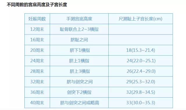 妊娠期子宫大小对照表图片