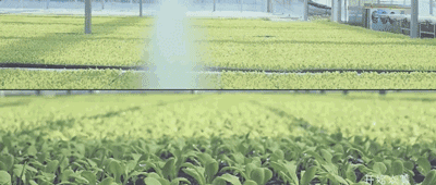 自动灌溉动图图片