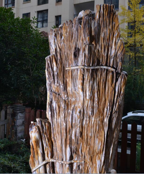 古华公园硅化木图片