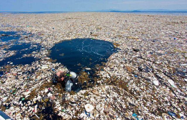 外媒发布海洋污染震撼照片碧蓝海水被塑料填满鲸鱼被毒死